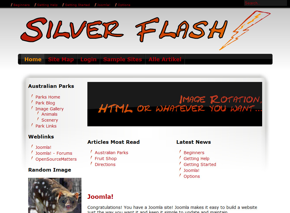 Silver Flash